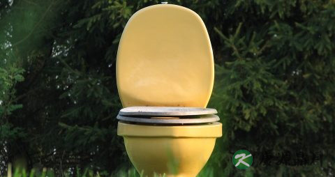 尿有泡沫是怎么回事