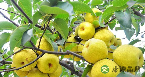 喉咙有异物感怎么办