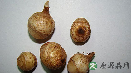 半夏的炮制方法