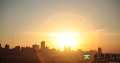 头晕恶心想吐四肢无力是不是中暑