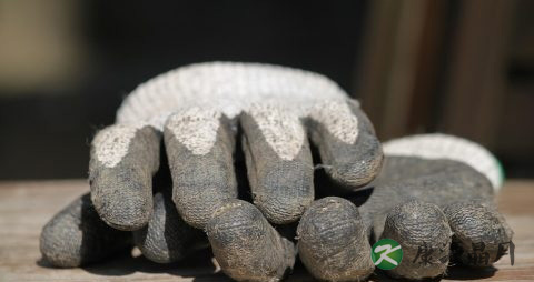 为什么冬天手裂口子