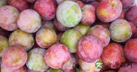 李子吃多了会上火吗