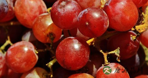 葡萄和提子吃多了会上火吗