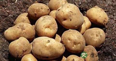 焦虑状态是怎么回事