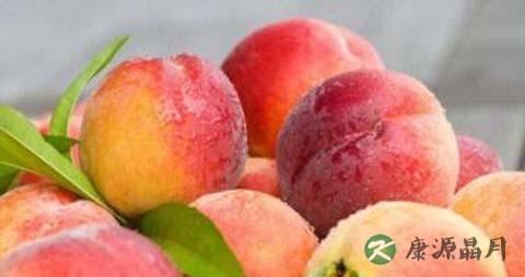 口疮的快速治疗方法