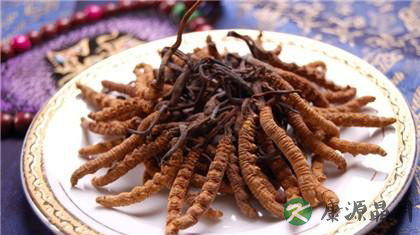 冬虫夏草怎么吃最好 冬虫夏草怎么吃最好