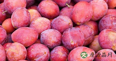 李子吃多了会上火吗