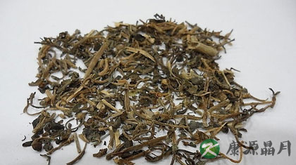 马齿苋的副作用