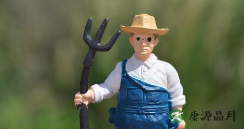 肝硬化并发症有哪些