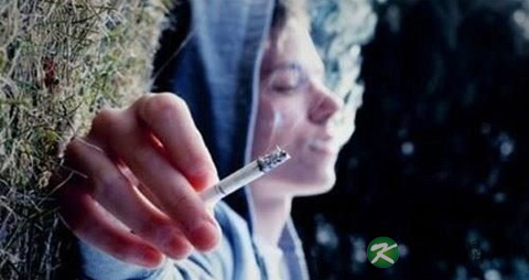 降火消暑，清凉一夏