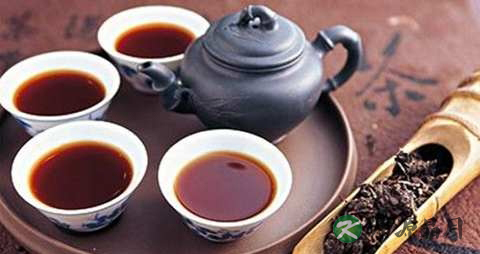 喝中药能吃萝卜吗