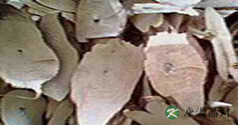 紫苏根煮蛋多久吃一次