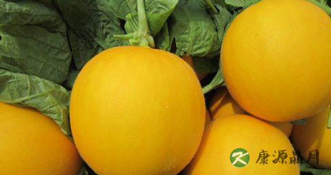 甜瓜吃多了会上火吗