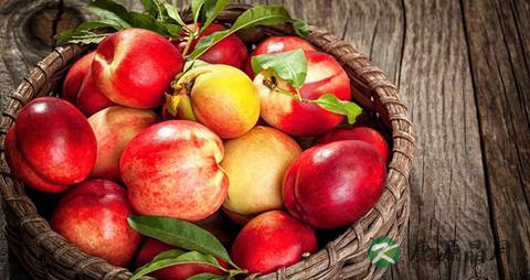 桃吃多了会上火吗