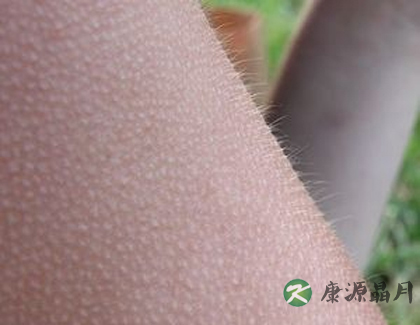 盘点人类已退化的生理特征