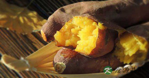 吃烤红薯的好处和坏处