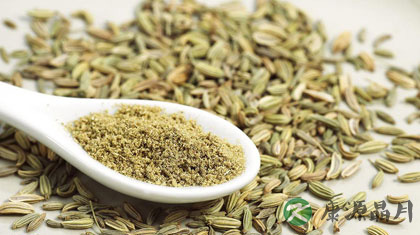 小茴香的功效