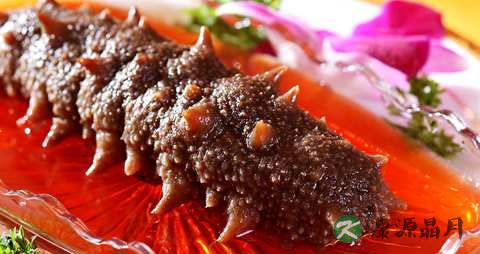 白血病吃海参好吗