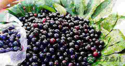 什么时间喝中药最佳