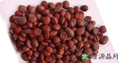 酸枣仁的功效与作用