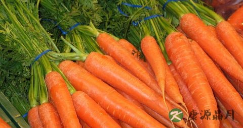 为什么冬天手裂口子