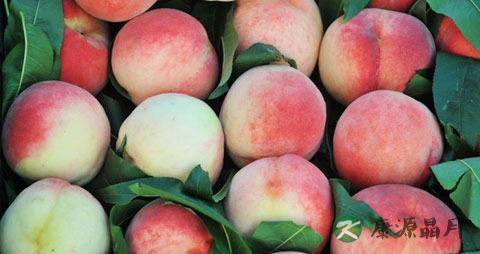 吃桃子食物中毒怎么办