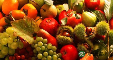 哮喘食疗 哮喘食疗