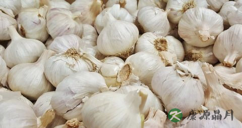大蒜吃多了会上火吗
