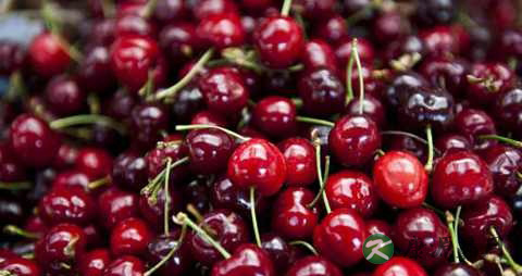 焦虑状态是怎么回事