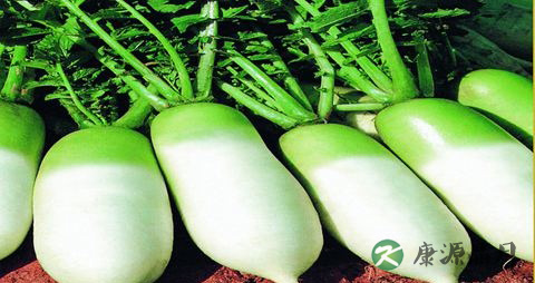 喝中药能喝白酒吗