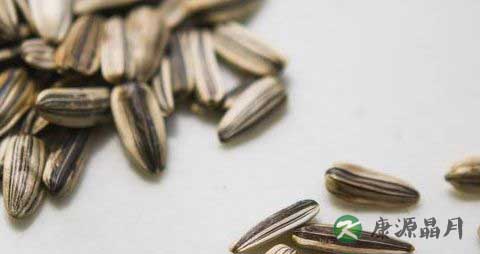 瓜子吃多了会上火吗 瓜子吃多了会上火吗