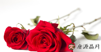 玫瑰花的中药用途