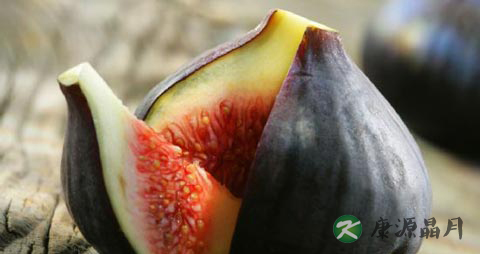 糖尿病人能吃无花果吗