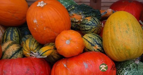 老南瓜吃多了会上火吗