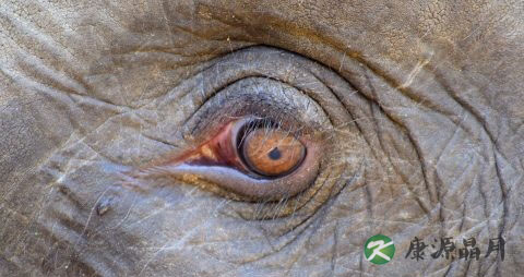 冬天手上冻疮痒怎么办 冬天手上冻疮痒怎么办