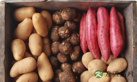 素食十大好处:素食营养比肉高 素食十大好处:素食营养比肉高