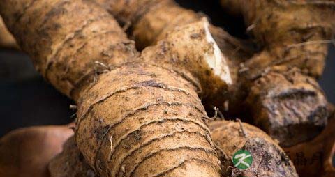 煎中药水放太多了要全部喝完吗