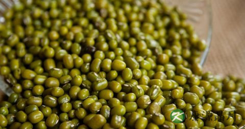 口腔溃疡快速治疗法 口腔溃疡快速治疗法