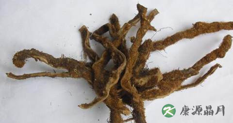 疏肝理气的中药有哪些