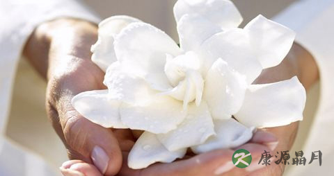 手脚上长小水泡很痒怎么回事