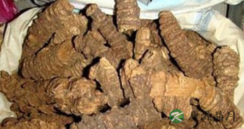 风湿病食疗与用药