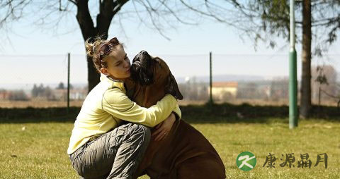 冬天手冷脚冷又出汗是什么原因