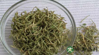 金银花能治疗湿疹吗
