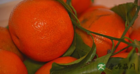 桔子吃多了会上火吗