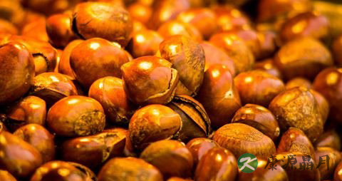 栗子吃多了会胖吗 栗子吃多了会胖吗