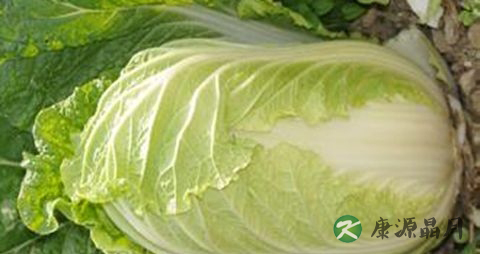 治疗口腔溃疡方法