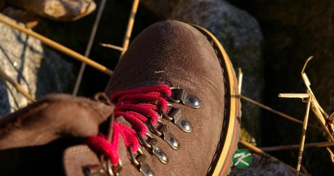 鸡眼的形成 鸡眼的形成