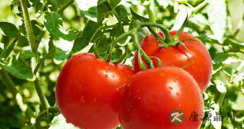 每天睡眠不足怎么办