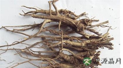 补中益气丸的功效与作用