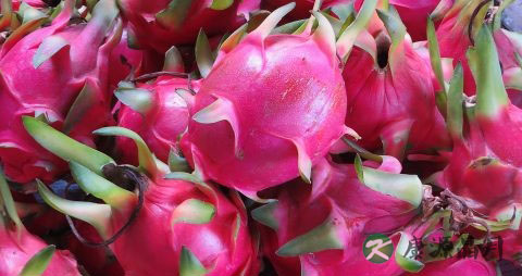 火龙果吃多了会上火吗